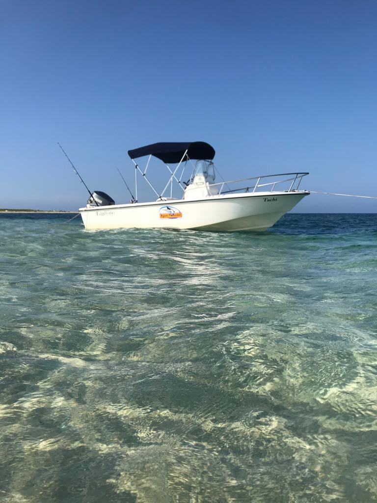 EDGE WATER 180 FT