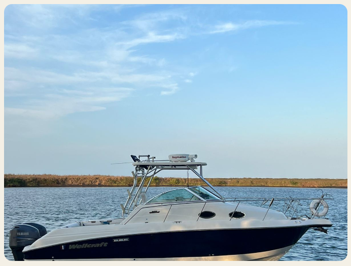 WELLCRAFT 270 FT